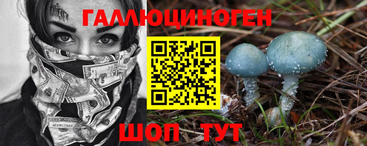 Псилоцибиновые грибы Cubensis Асино